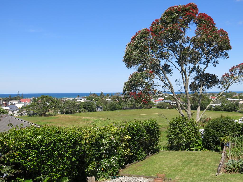 Apartmán Atalaya Waihi Pokoj fotografie